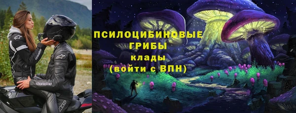 ALPHA PVP Магас