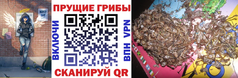 Галлюциногенные грибы MAGIC MUSHROOMS  Новое Девяткино 